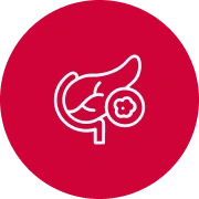 Endocrine Tumors icon